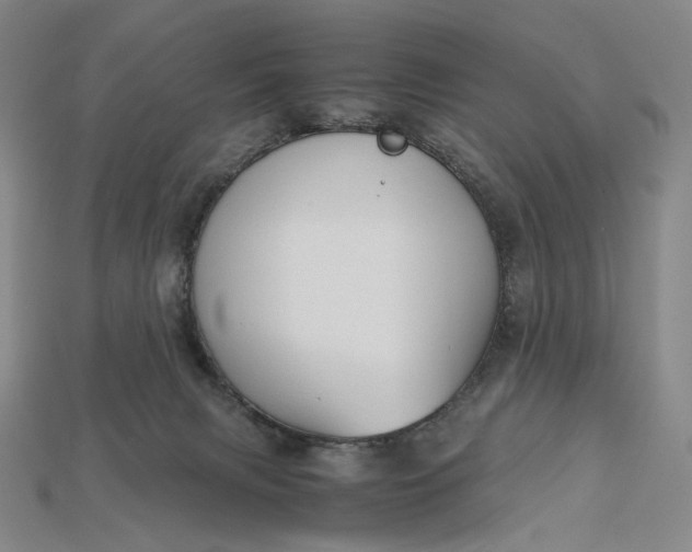 X0000115180079200911121810