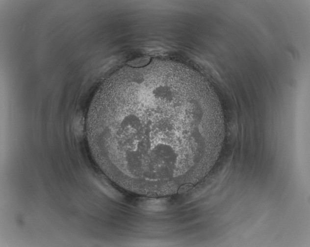 X0000115180081200911121810