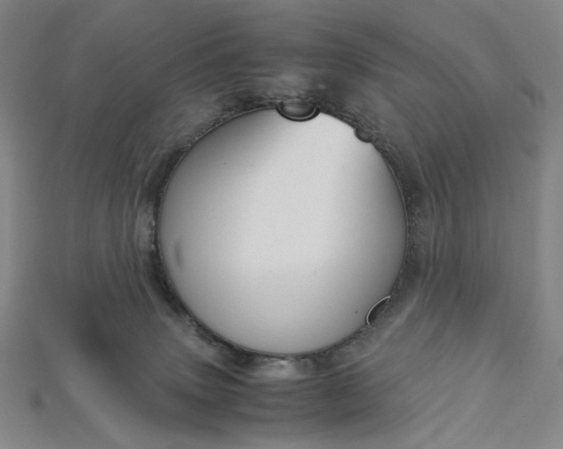 X0000115180083200911121810