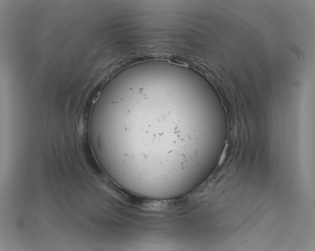 X0000115180084200911121810