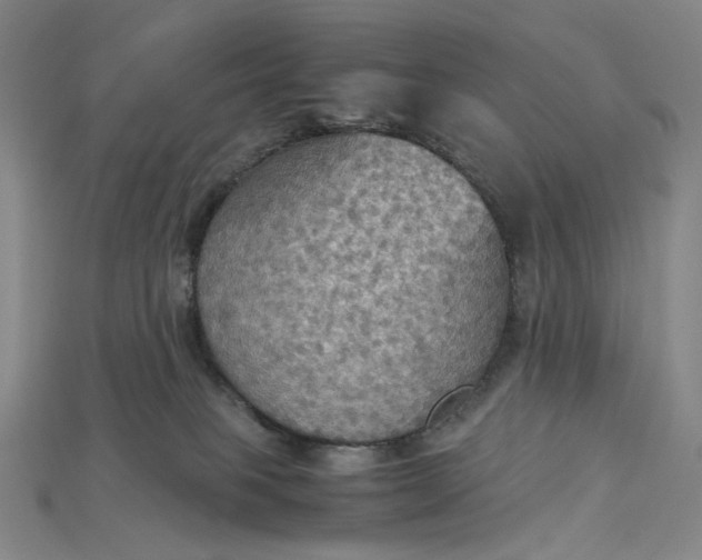 X0000115180085200911121810