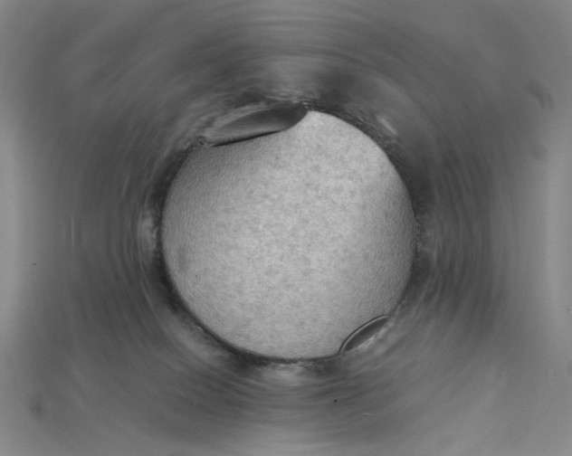 X0000115180086200911121810