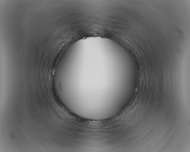 X0000115180088200911121810