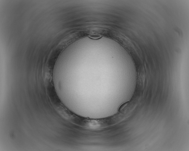 X0000115180091200911121810