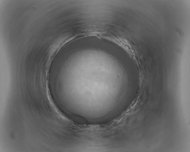 X0000115180097200911121810