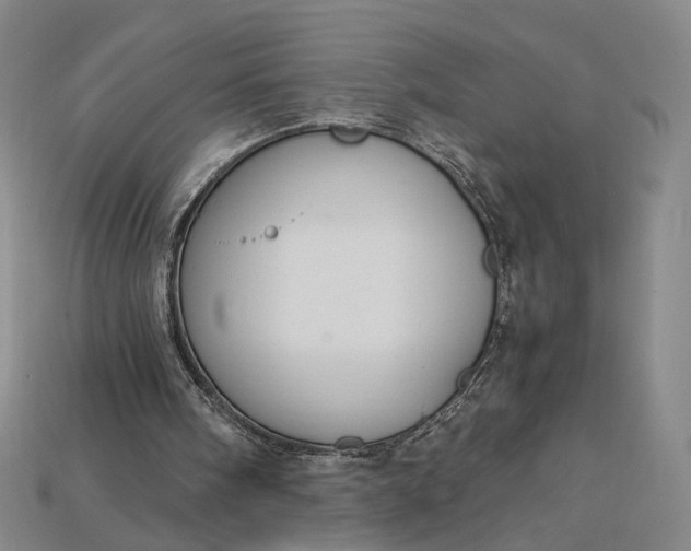 X0000115180098200911121810