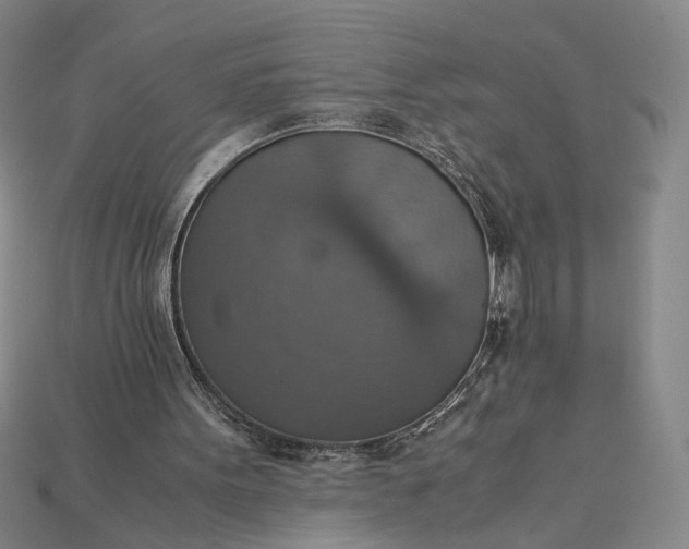 X0000115180099200911121810