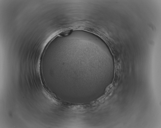X0000115180100200911121810