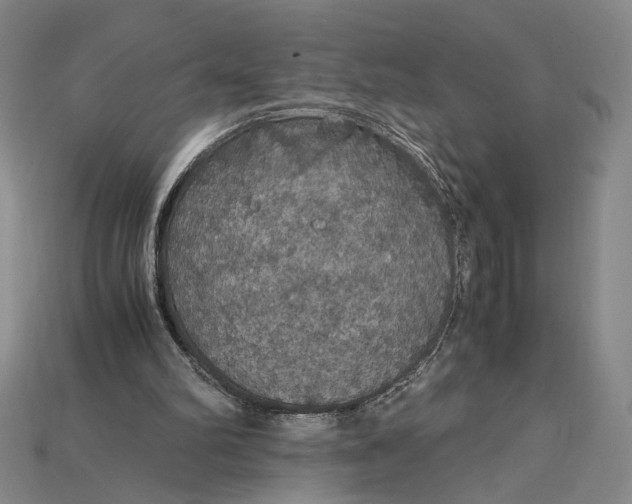 X0000115180102200911121809