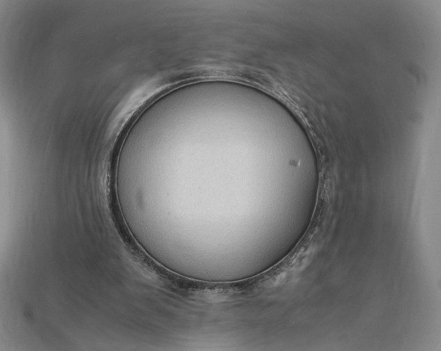 X0000115180103200911121809