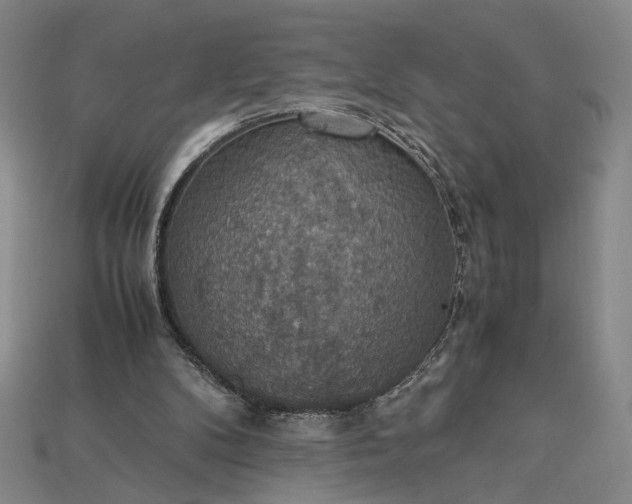 X0000115180104200911121809