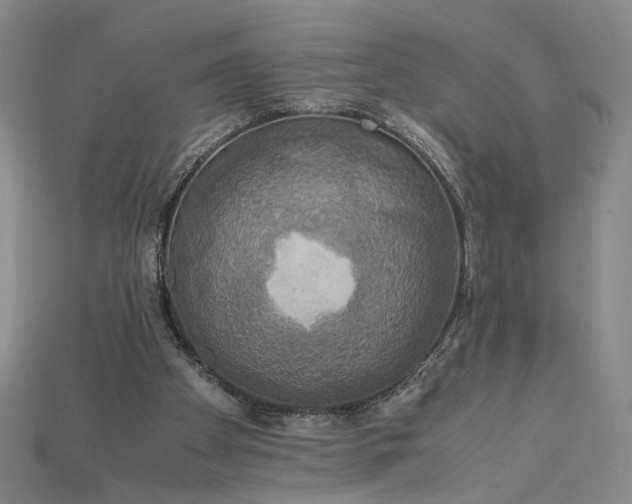 X0000115180105200911121809
