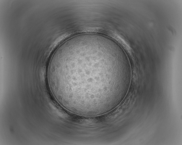 X0000115180107200911121809