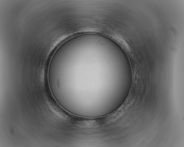 X0000115180108200911121809