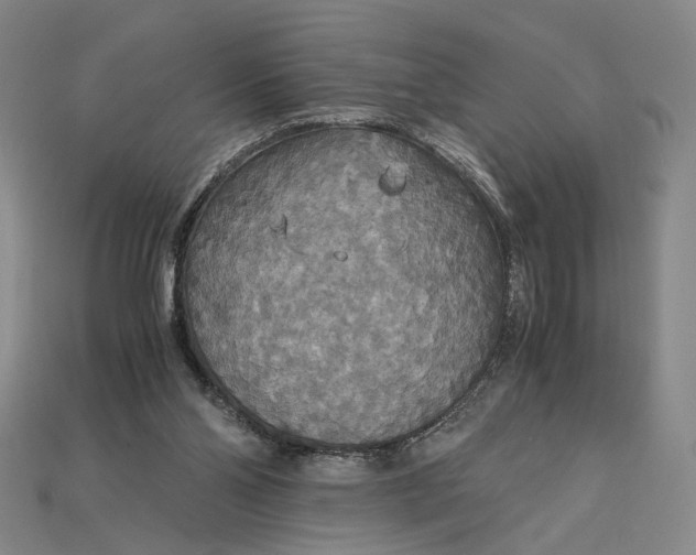 X0000115180110200911121809