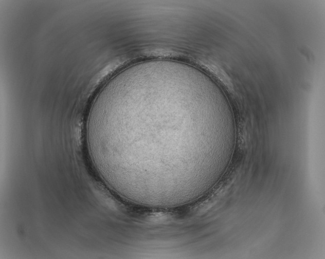 X0000115180111200911121809