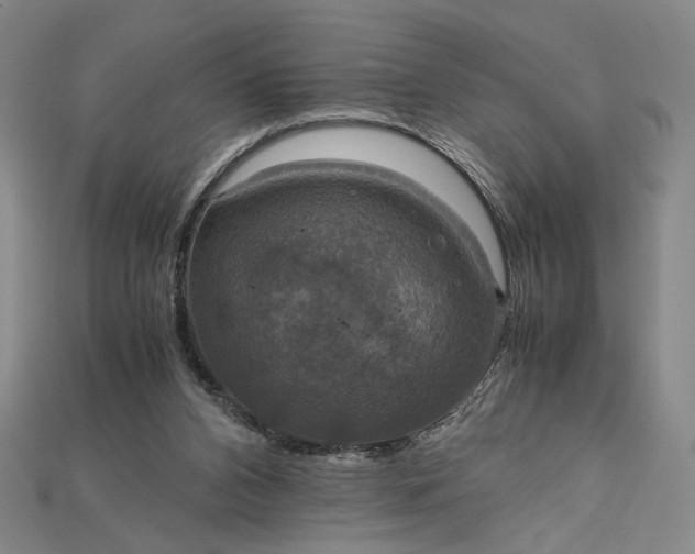 X0000115180112200911121809