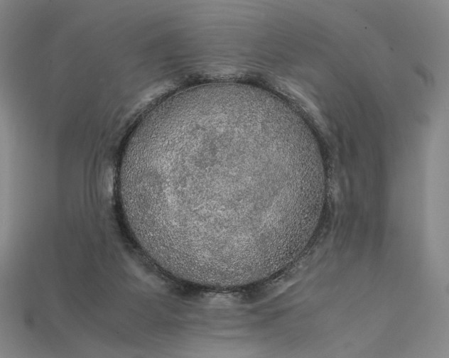 X0000115180115200911121809