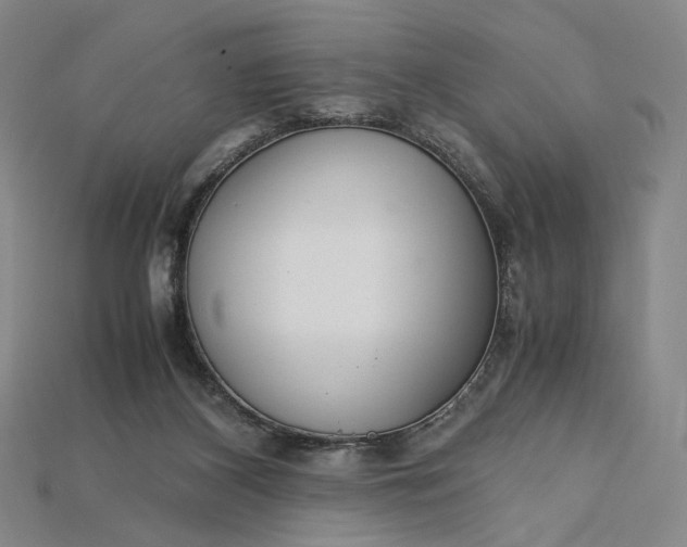 X0000115180116200911121809