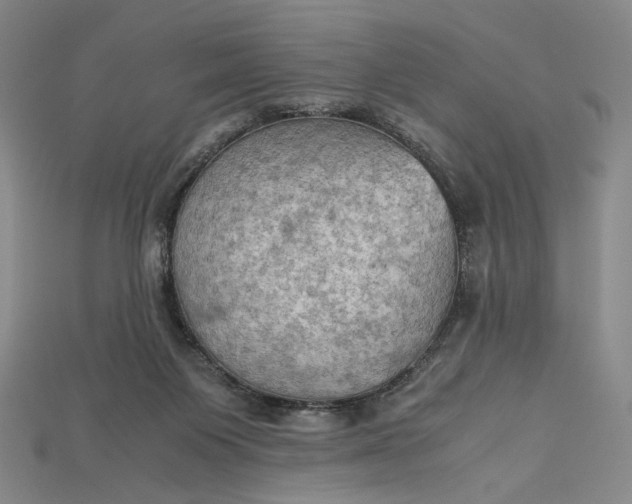 X0000115180119200911121809