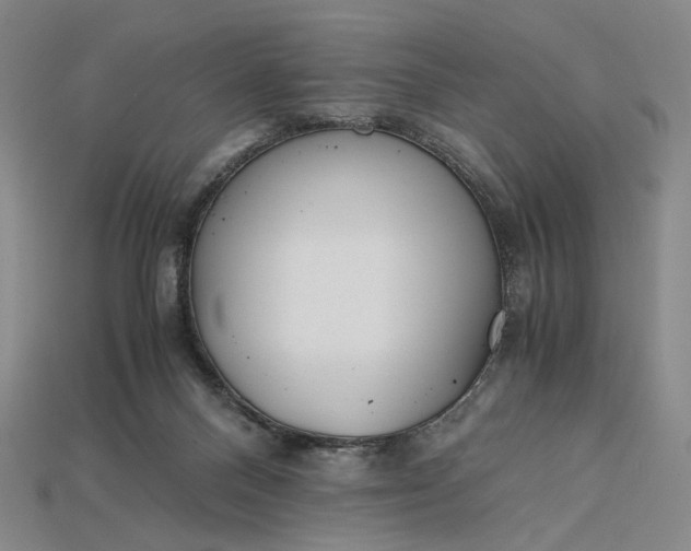 X0000115180120200911121809