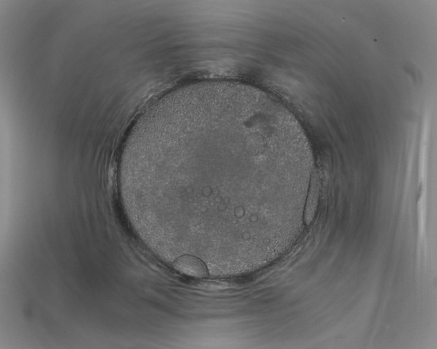 X0000115180123200911121809