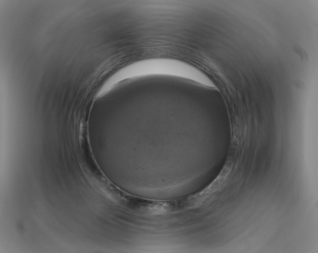 X0000115180124200911121809