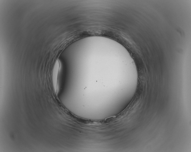 X0000115180125200911121809