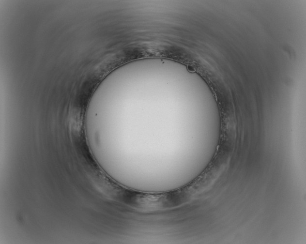 X0000115180129200911121809