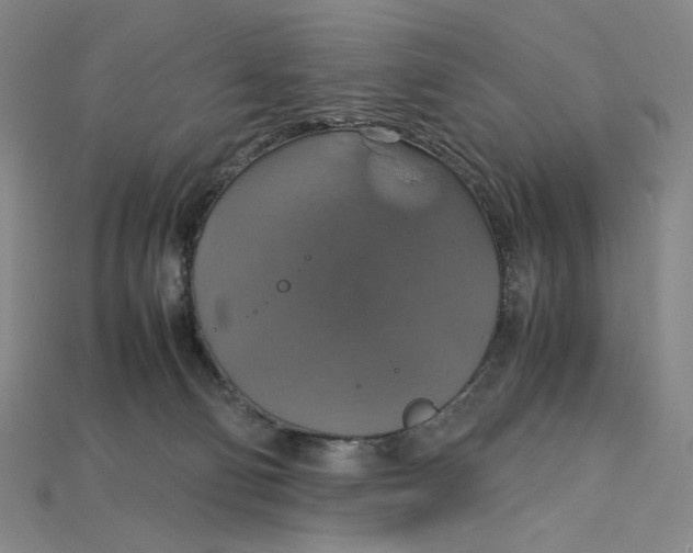 X0000115180130200911121809