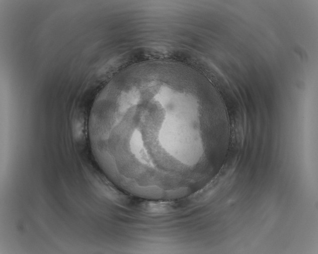 X0000115180134200911121809