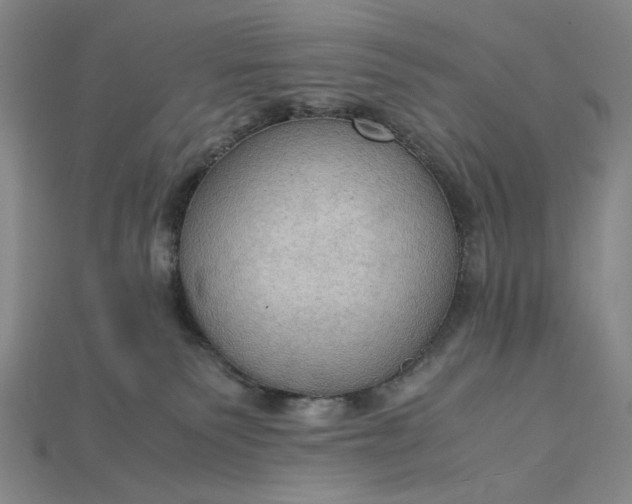 X0000115180135200911121809