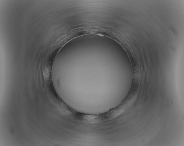 X0000115180139200911121809