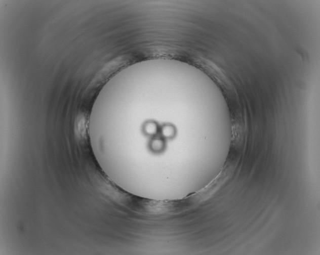 X0000115180142200911121809