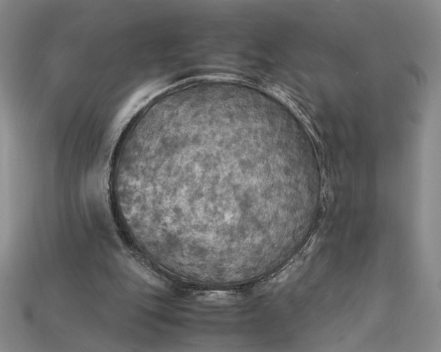 X0000115180151200911121808