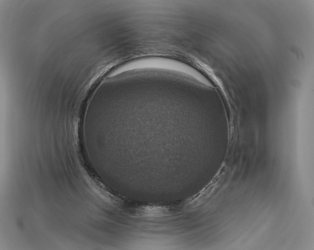 X0000115180154200911121808