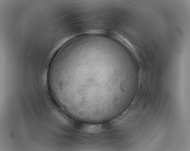 X0000115180155200911121808