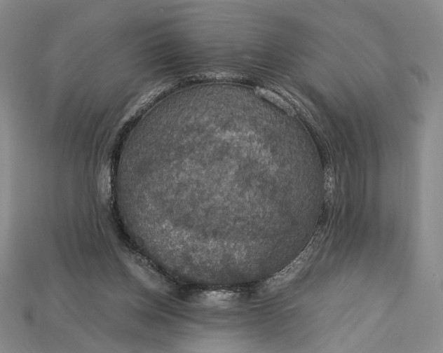 X0000115180158200911121808