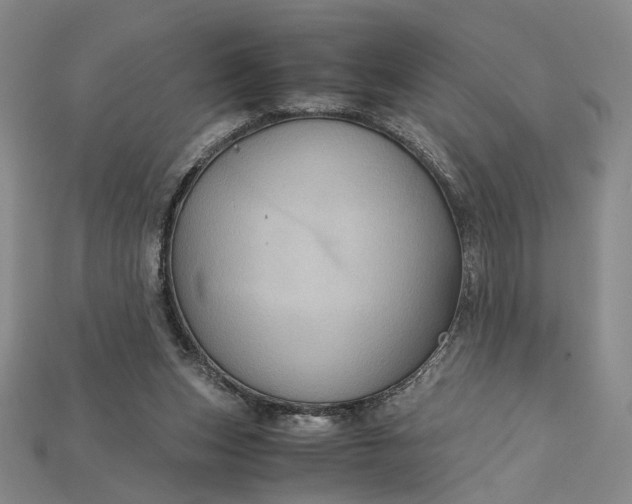 X0000115180159200911121808