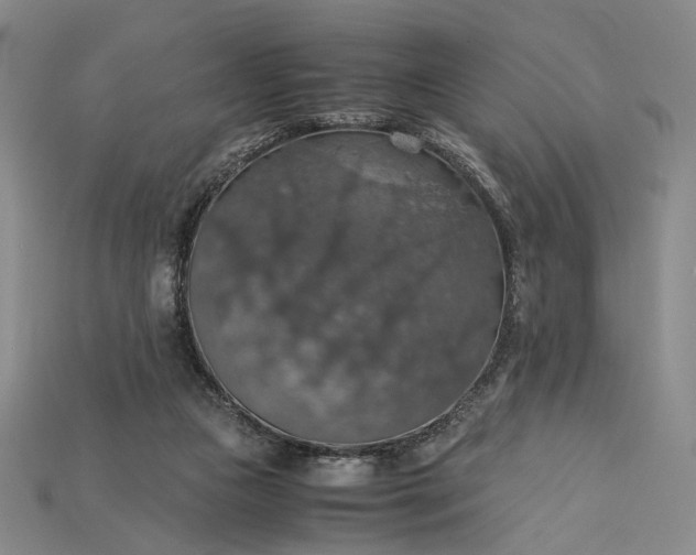 X0000115180161200911121808