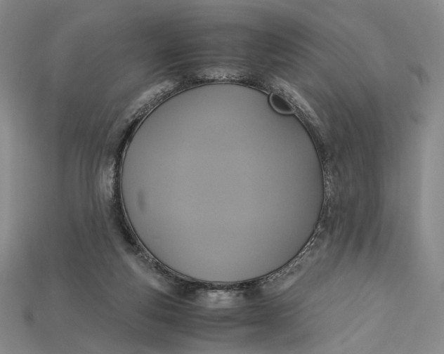 X0000115180163200911121809