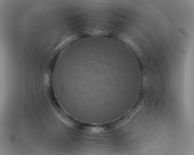 X0000115180165200911121809