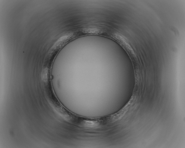 X0000115180167200911121809