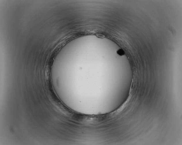 X0000115180174200911121809