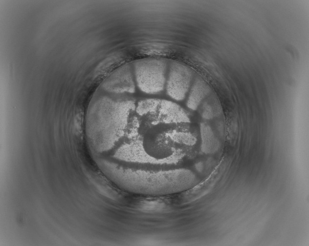 X0000115180175200911121809