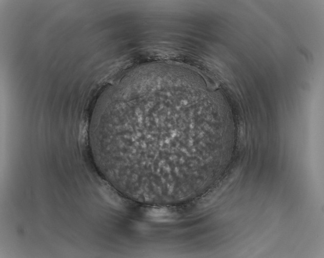X0000115180177200911121809