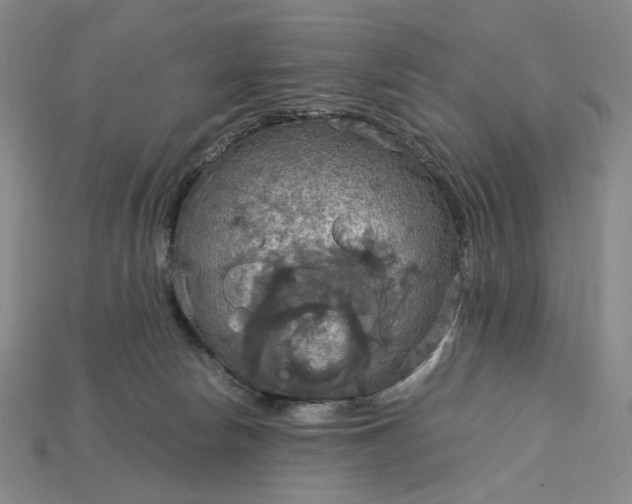 X0000115180178200911121809