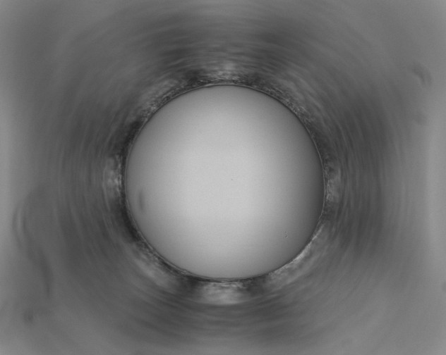 X0000115180179200911121809