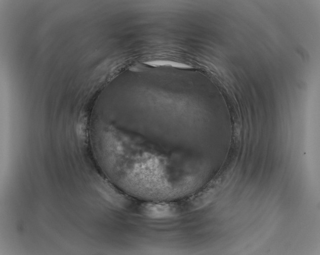 X0000115180181200911121809