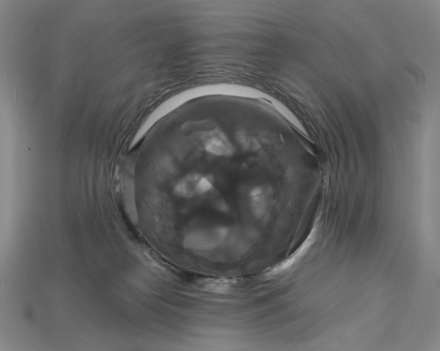 X0000115180182200911121809